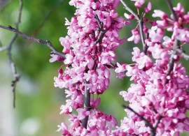 shutterstock_391158466 — kopiya9